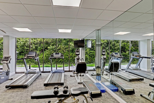 workout area featuring a drop ceiling and carpet flooring