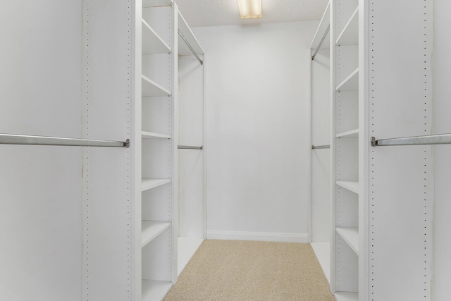 walk in closet with carpet