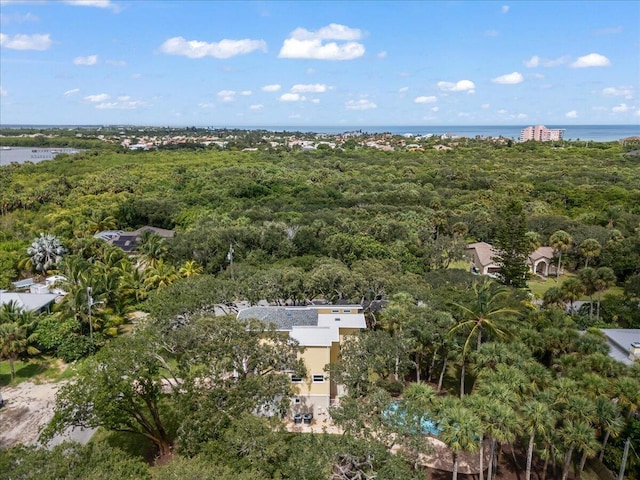 bird's eye view featuring a water view and a forest view