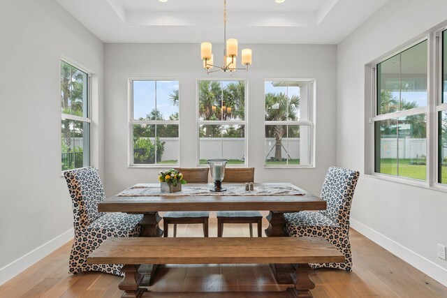 dining room featuring light hardwood / wood-style floors, a notable chandelier, and a tray ceiling