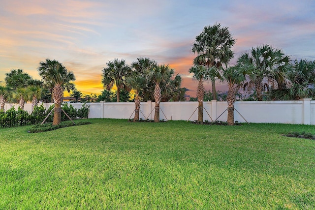 view of yard at dusk