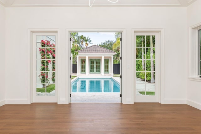 entryway with dark wood-type flooring and a wealth of natural light