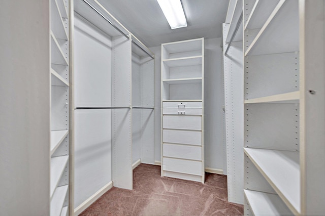 spacious closet with carpet