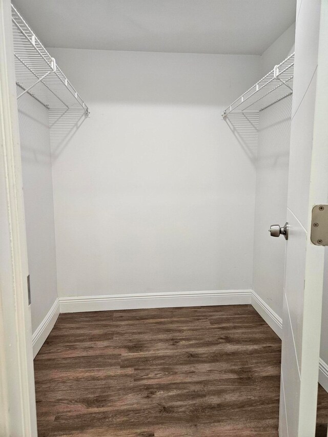 spacious closet with dark wood-type flooring