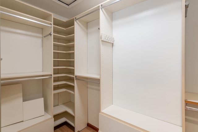 walk in closet with hardwood / wood-style flooring