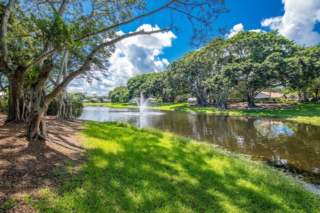 property view of water