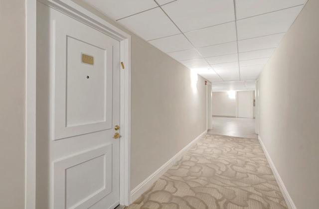 hall with light carpet and a paneled ceiling