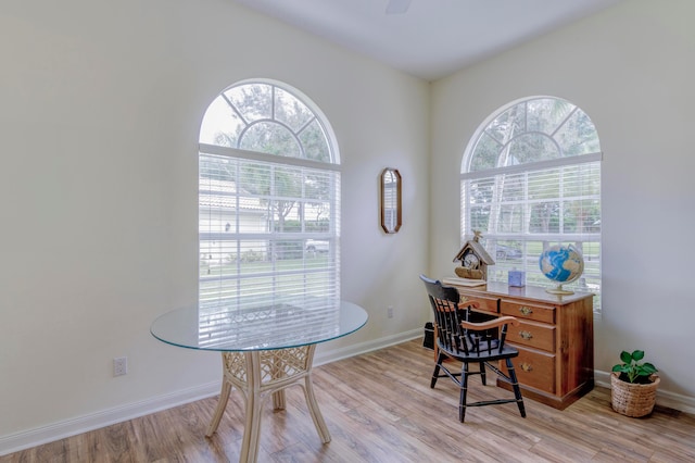 office featuring light hardwood / wood-style floors and a healthy amount of sunlight