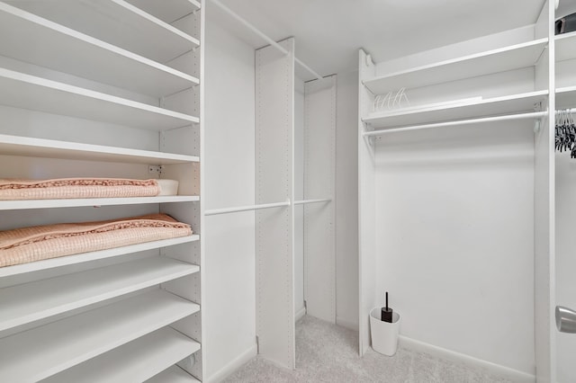 spacious closet with light colored carpet