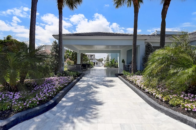 view of community featuring driveway