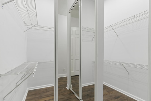 spacious closet with dark wood-type flooring