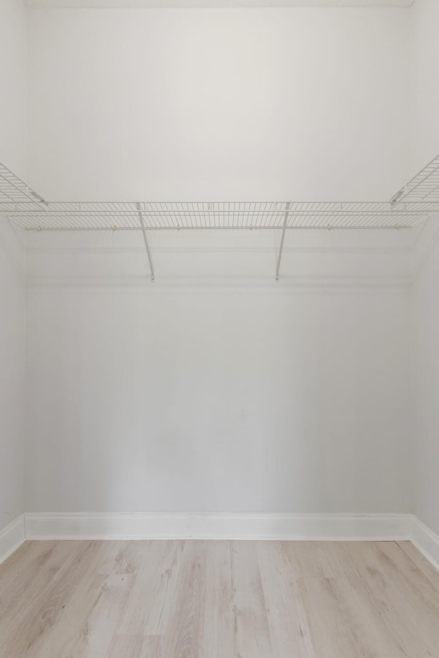 spacious closet with light wood-type flooring