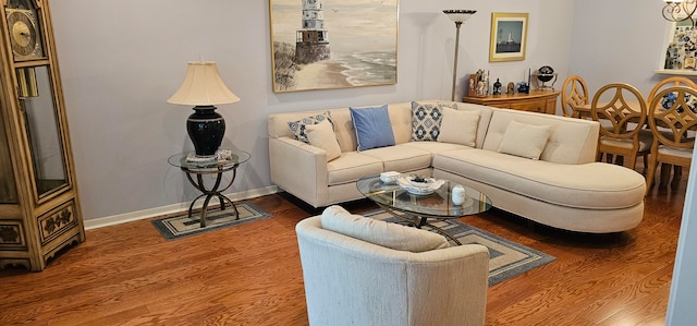 living room with hardwood / wood-style floors