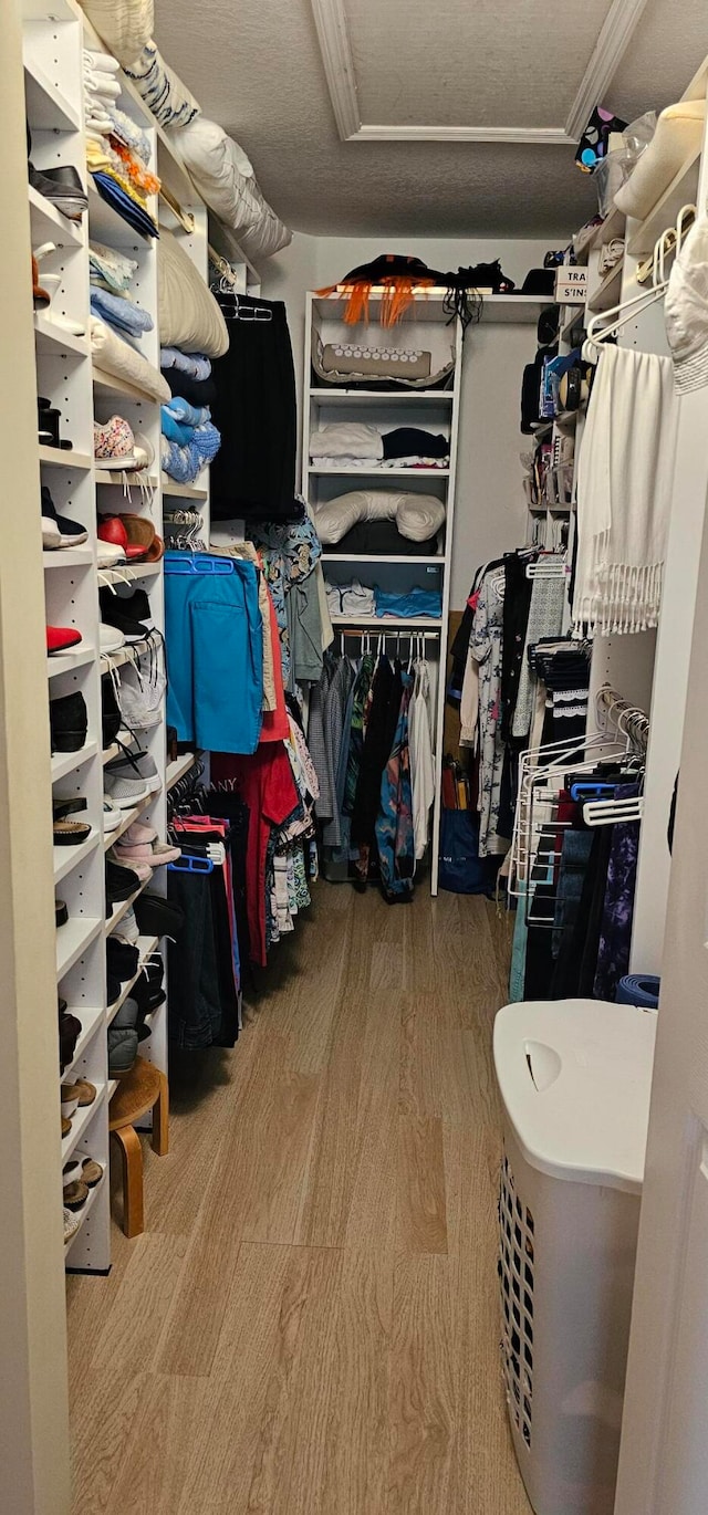 walk in closet featuring wood-type flooring