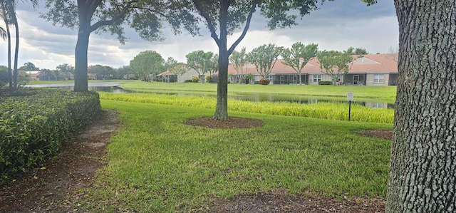 view of community with a water view and a lawn