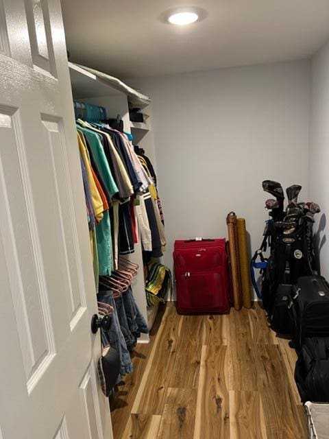 spacious closet with wood-type flooring