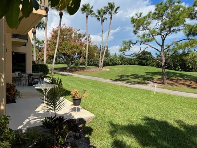 view of yard featuring a patio area