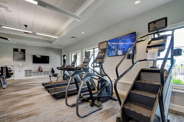 exercise room featuring hardwood / wood-style flooring, a tray ceiling, and plenty of natural light