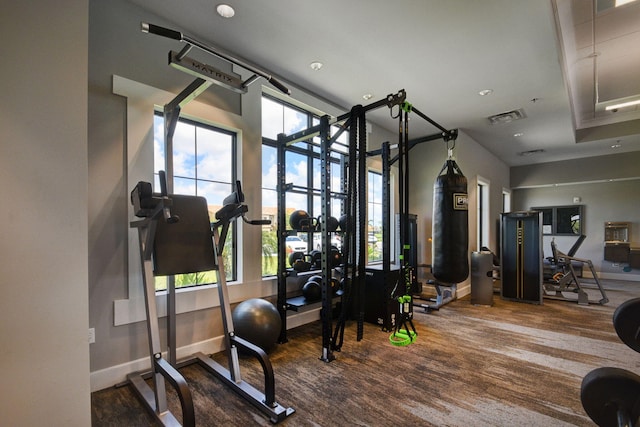 exercise room featuring plenty of natural light and hardwood / wood-style floors