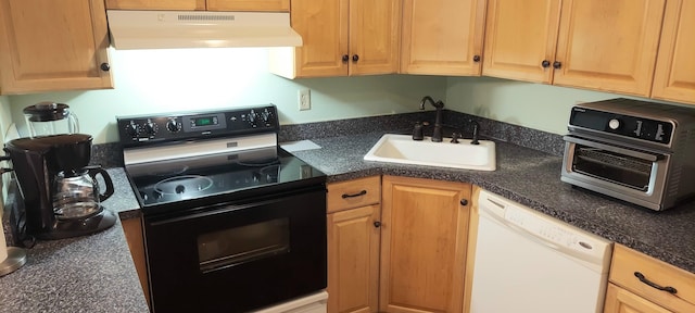 kitchen with black / electric stove, sink, and dishwasher