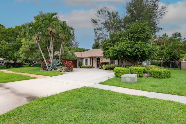 view of front of house with a front yard