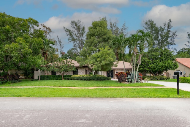 ranch-style house with a front yard