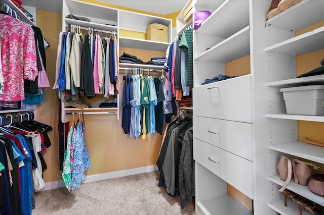 walk in closet with light carpet