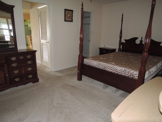 carpeted bedroom with a spacious closet and a closet