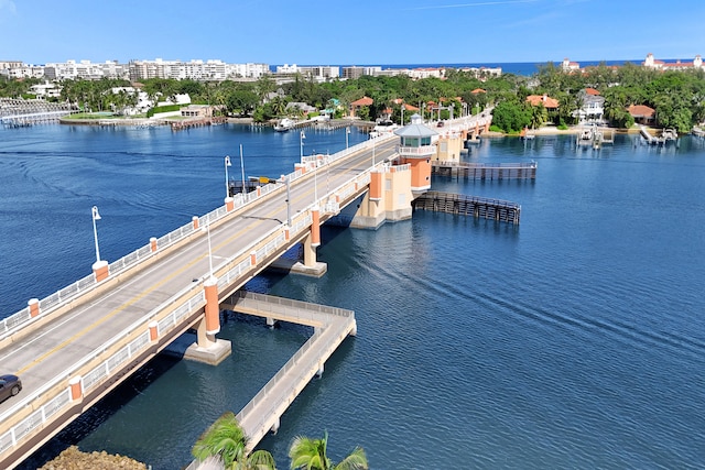 dock area with a water view