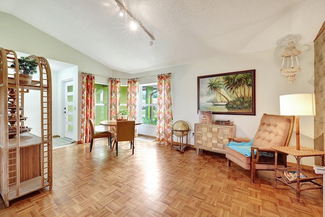 living area with a textured ceiling, rail lighting, vaulted ceiling, and light parquet flooring