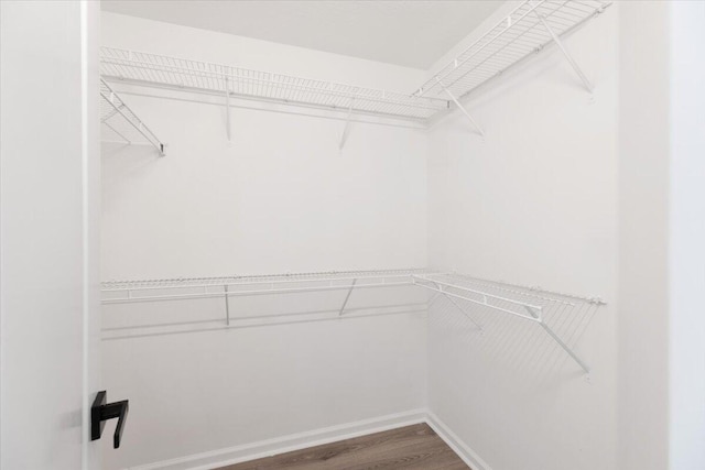 walk in closet featuring wood-type flooring