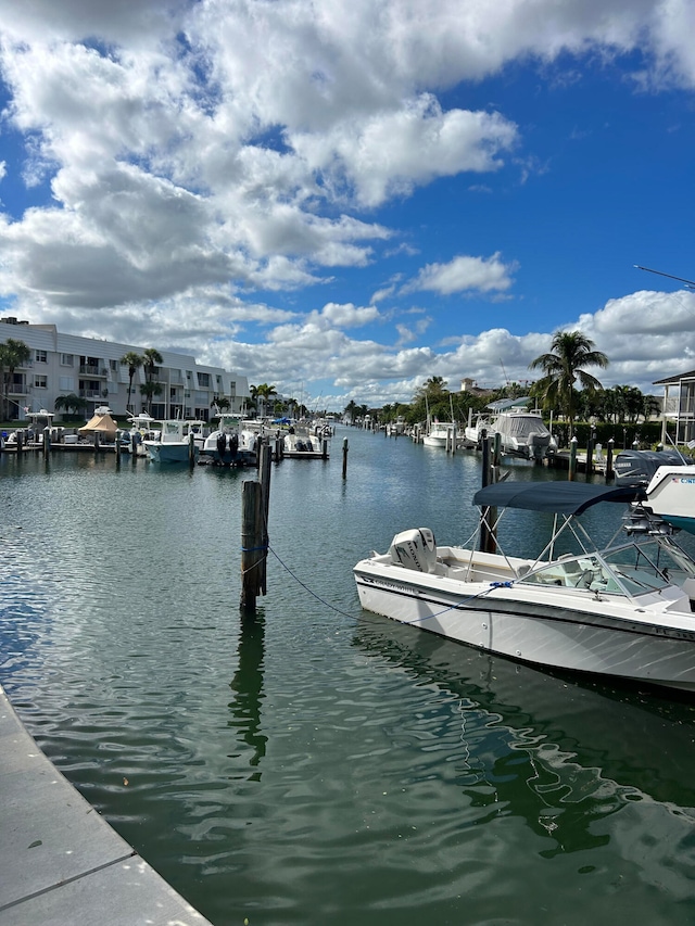 dock area with a water view