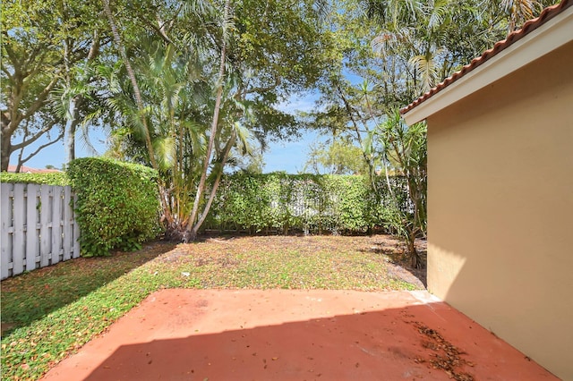 view of yard featuring a patio area and a fenced backyard