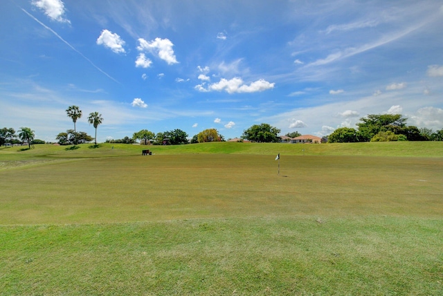 surrounding community featuring a yard