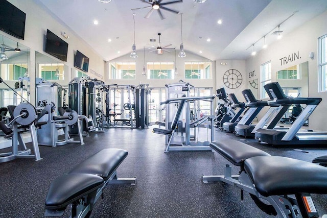 workout area with ceiling fan, high vaulted ceiling, and a healthy amount of sunlight