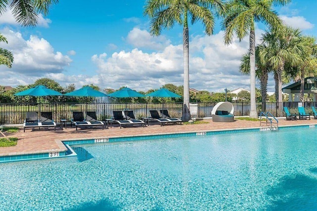 view of swimming pool with a patio area