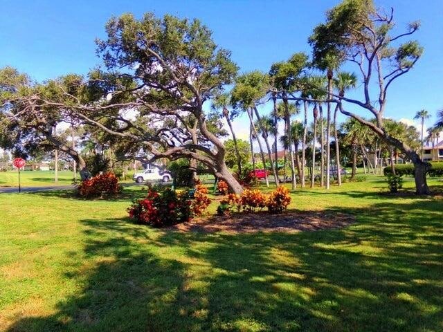 view of property's community featuring a yard