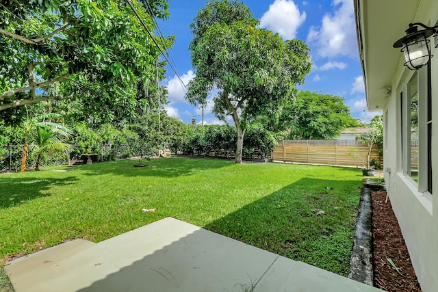 view of yard with a patio area