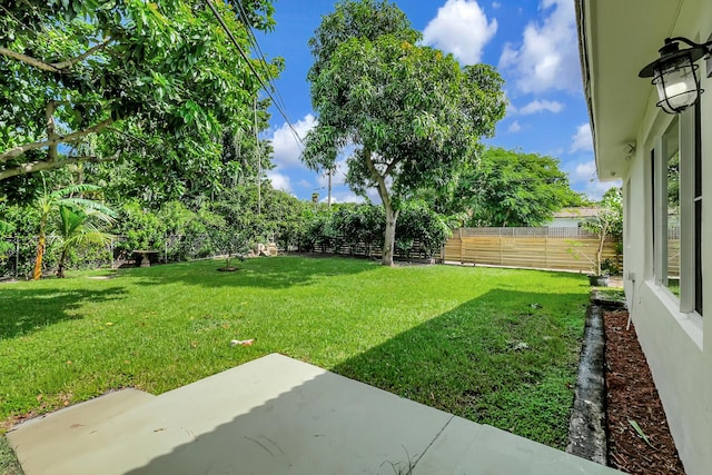 view of yard with a patio and a fenced backyard