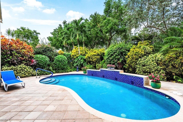 view of pool with a patio area