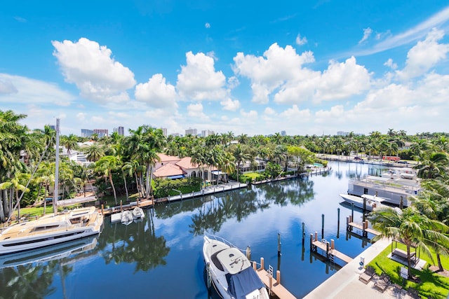 water view featuring a boat dock