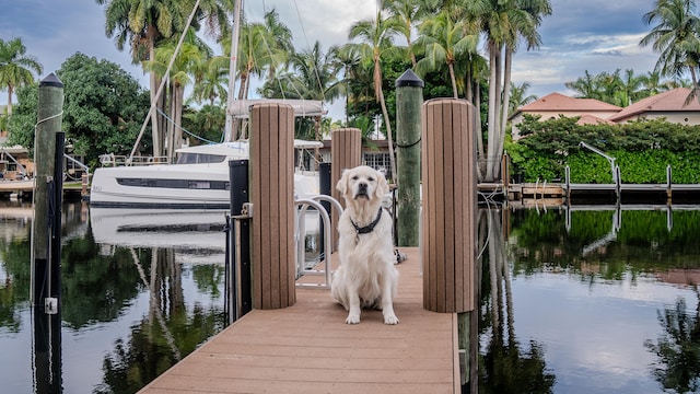 dock area featuring a water view