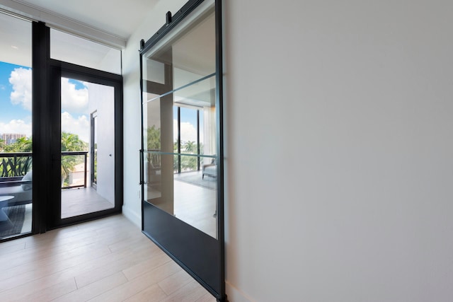 doorway to outside featuring expansive windows, a barn door, and light hardwood / wood-style flooring