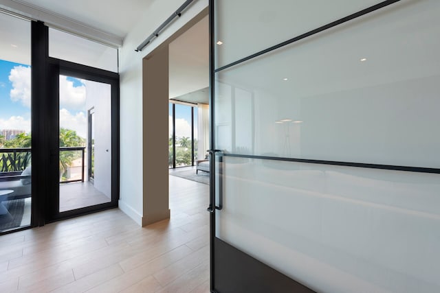 doorway featuring expansive windows, light hardwood / wood-style flooring, and a barn door