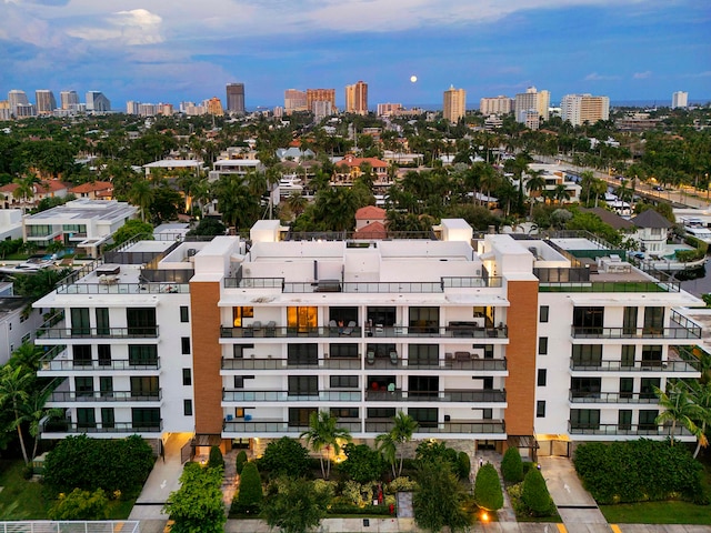 bird's eye view