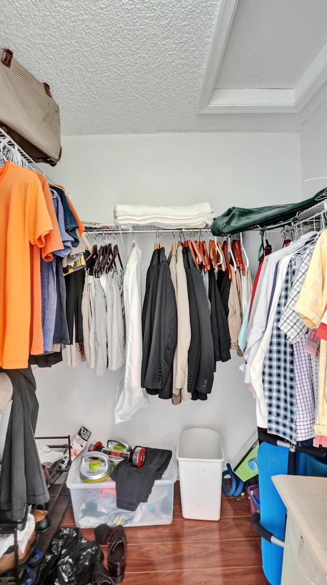 spacious closet with a raised ceiling and dark wood-type flooring