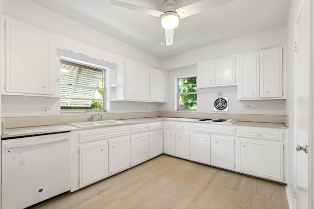 kitchen with ceiling fan, white cabinetry, white dishwasher, light hardwood / wood-style flooring, and sink