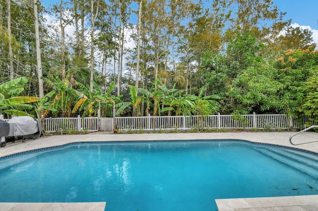 view of pool featuring area for grilling