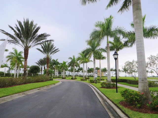 view of street