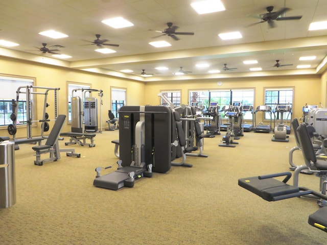 gym featuring carpet